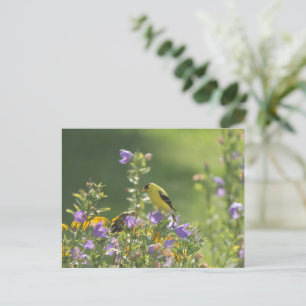 Goldfinch on a Harebell Flower Postcard