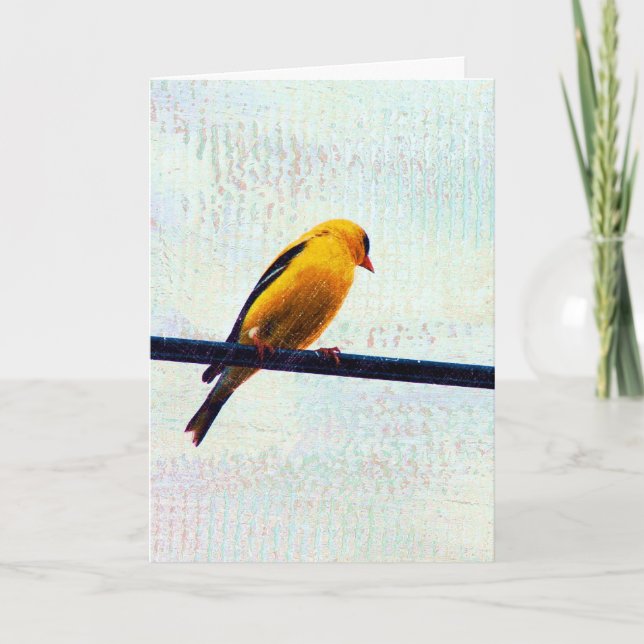 Goldfinch on a Power Line Card (Front)