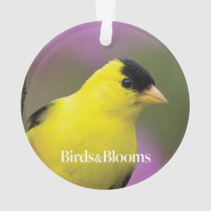 Goldfinch Ornament