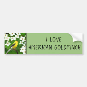 Goldfinch Painting - Cute Original Dog Art Bumper Sticker