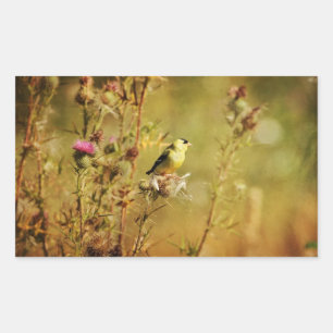 Goldfinch Photo Rectangular Sticker