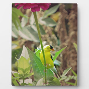 Goldfinch Plaque