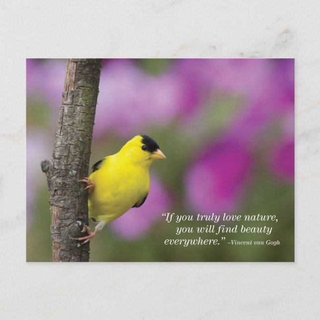 Goldfinch Postcard (Front)