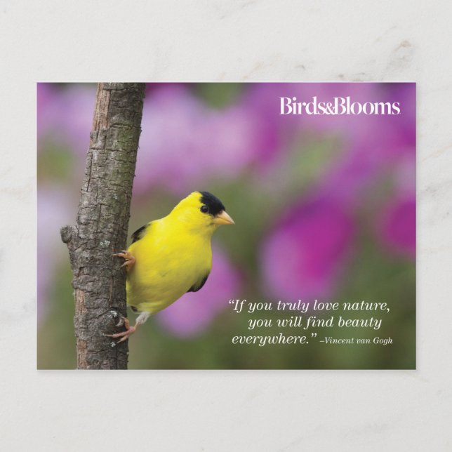 Goldfinch Postcard (Front)