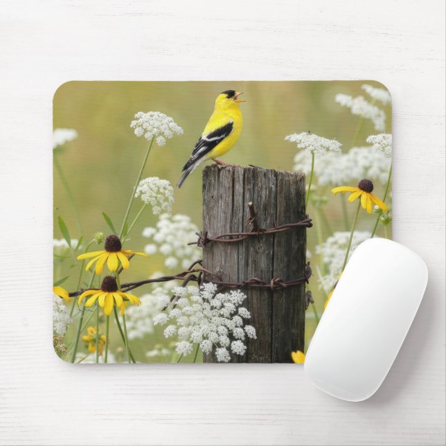 Goldfinch Singing on a Fence Post Mouse Pad (With Mouse)