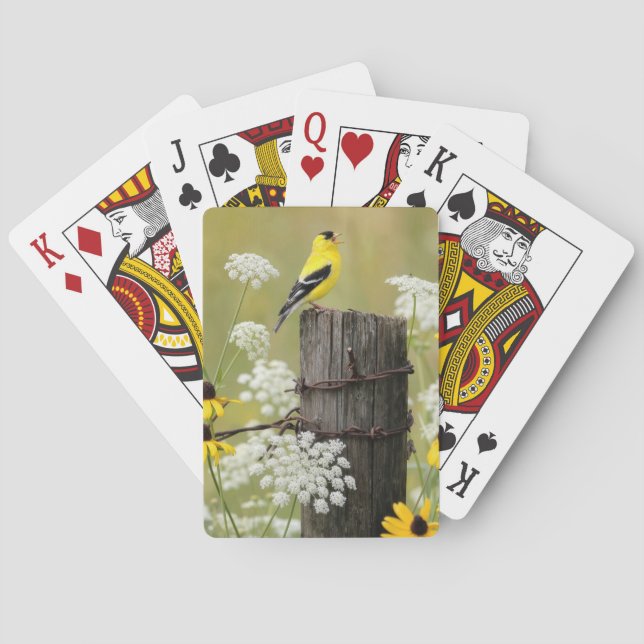Goldfinch Singing on a Fence Post Playing Cards (Back)