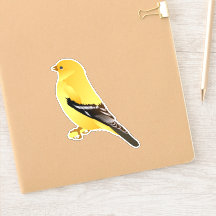 Goldfinch sticker