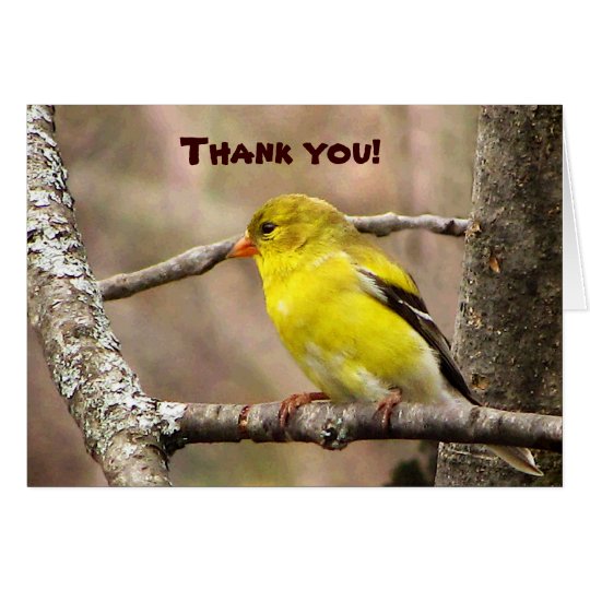 Goldfinch Thank You Card