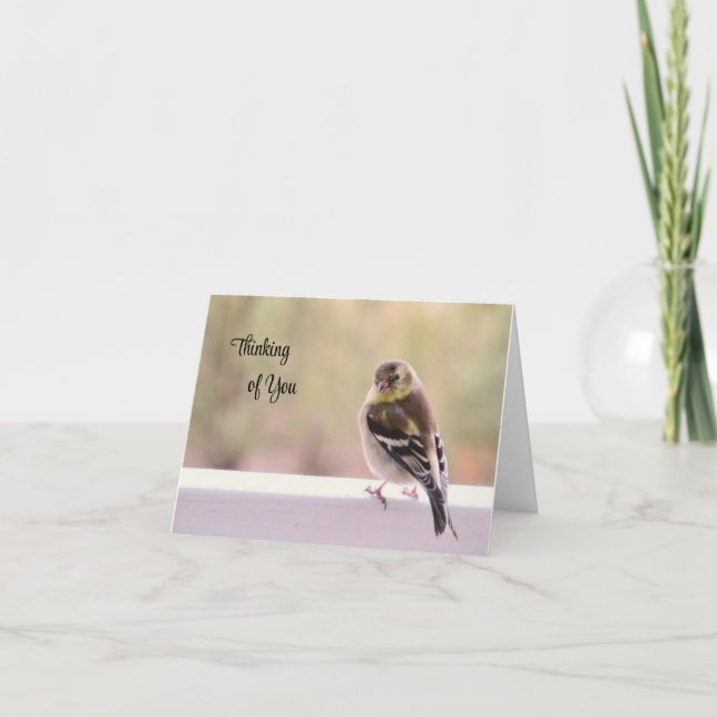 Goldfinch - Thinking of You Card (Front)