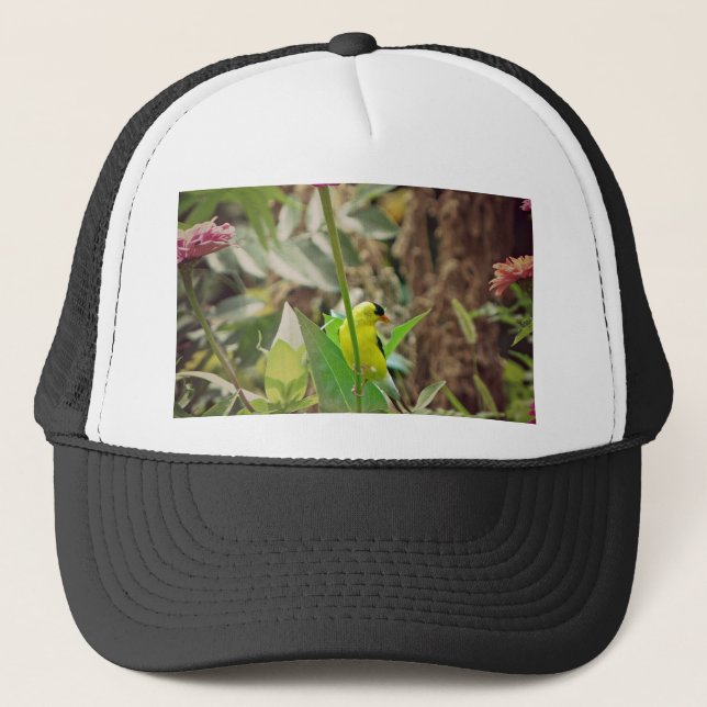 Goldfinch Trucker Hat (Front)