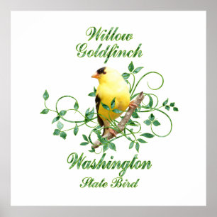 Goldfinch Washington State Bird Poster