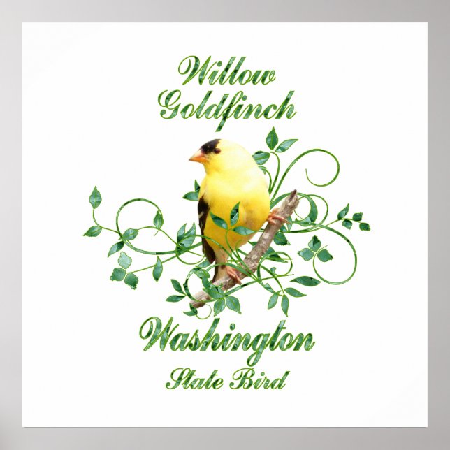 Goldfinch Washington State Bird Poster (Front)