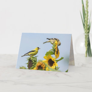 Goldfinches and Sunflowers Greeting Card