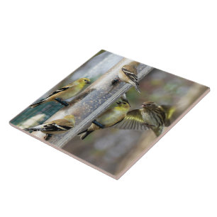 Goldfinches at the Feeder Ceramic Tile