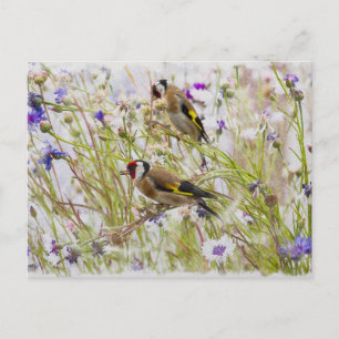 Goldfinches Postcard