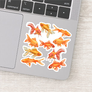 Goldfish