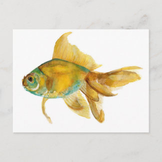 goldfish2.jpg postcard