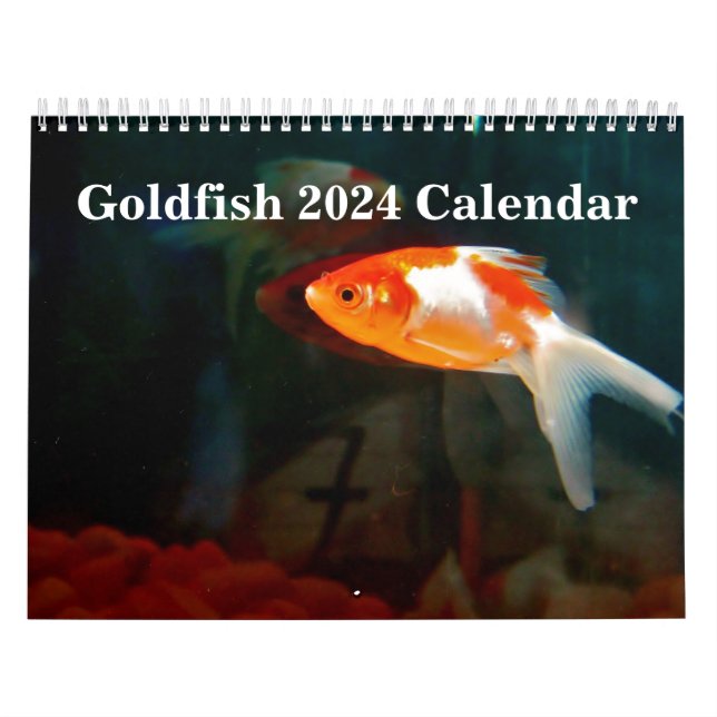 Goldfish 2025 calendar (Cover)