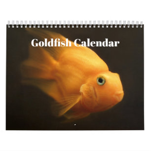 Goldfish 2025 calendar