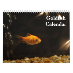 Goldfish 2026 calendar