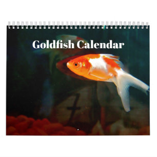 Goldfish 2027 calendar