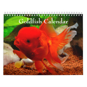 Goldfish 2027 calendar