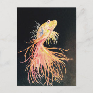 Goldfish (2).jpg postcard