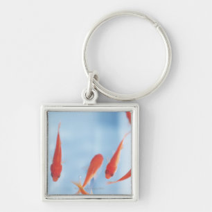 Goldfish 2 key ring