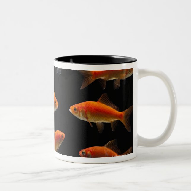 Goldfish 2 Two-Tone coffee mug (Right)