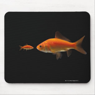 Goldfish 3 mouse pad