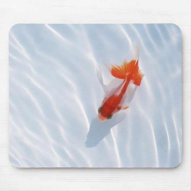 Goldfish 5 mouse pad (Front)