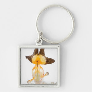 Goldfish (Carassius auratus) 2 Key Ring