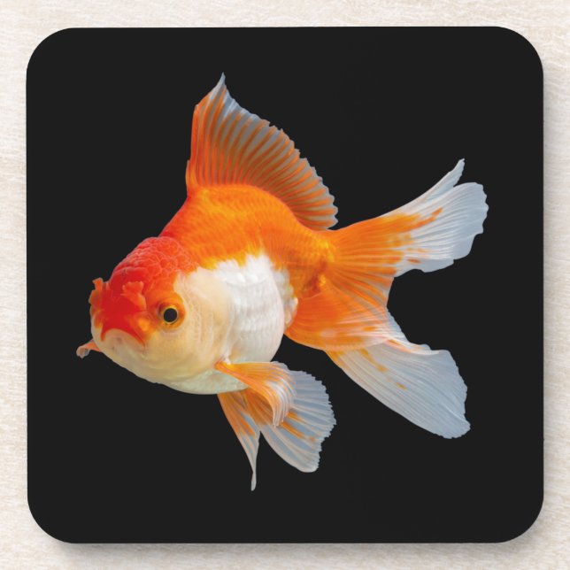 Goldfish Coaster (Front)