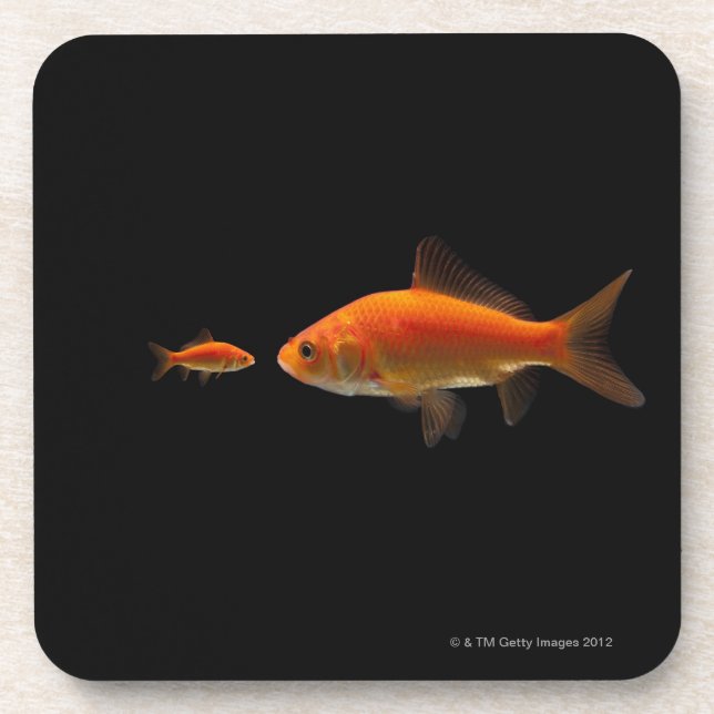 Goldfish Coaster (Front)
