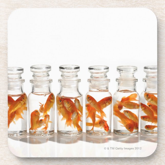 Goldfish Coaster (Front)