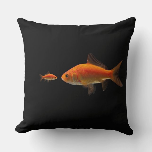 Goldfish Cushion (Front)