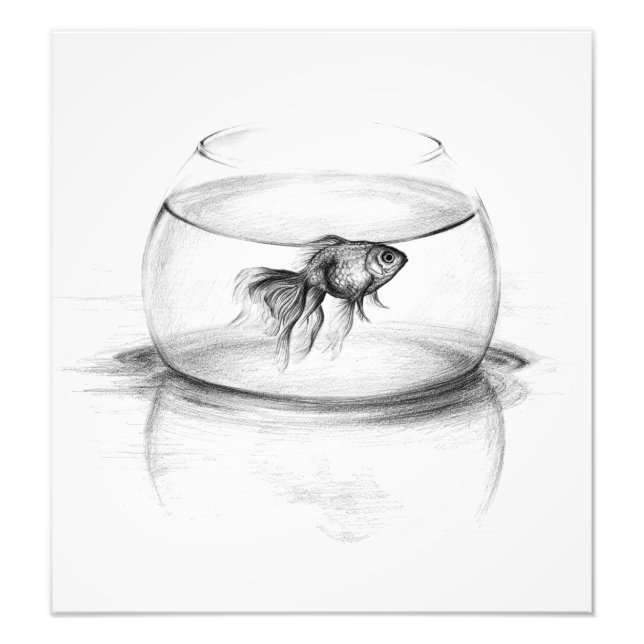 Goldfish in bowl and water Pencil drawing art Photo Print (Front)