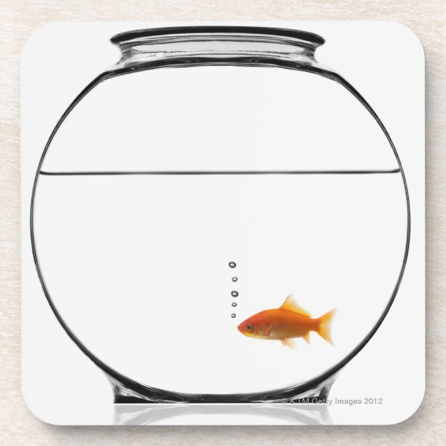 Goldfish in bowl coaster (Front)
