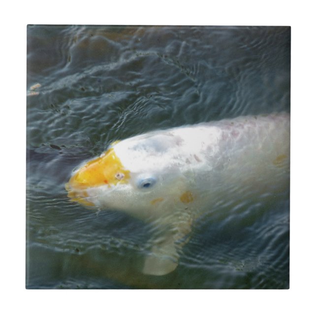 Goldfish In Lake Ceramic Tile (Front)