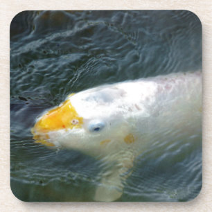 Goldfish In Lake Coaster