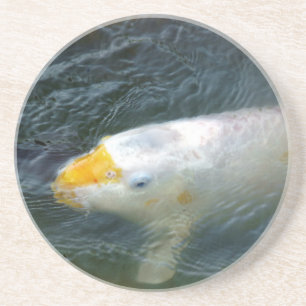 Goldfish In Lake Coaster
