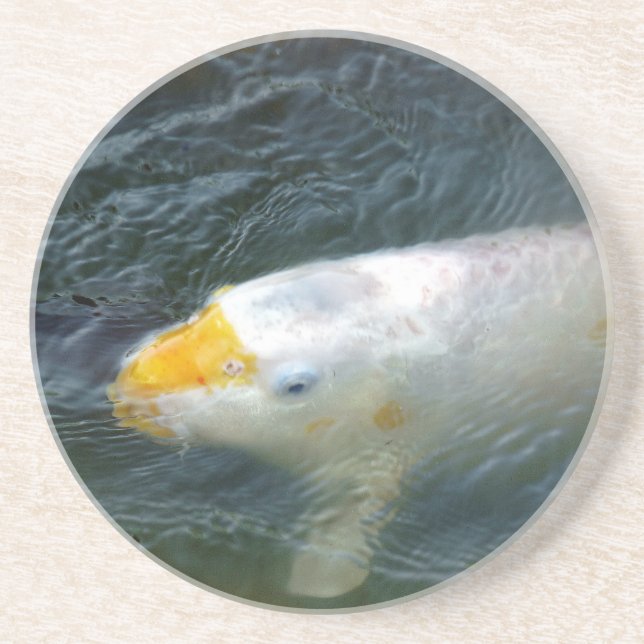 Goldfish In Lake Coaster (Front)