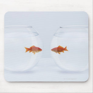 Goldfish in separate fishbowls looking face to fac mouse pad