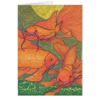 Goldfish - Koi