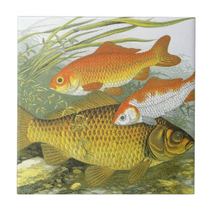Goldfish Koi Fish, Vintage Marine Aquatic Sea Life Ceramic Tile