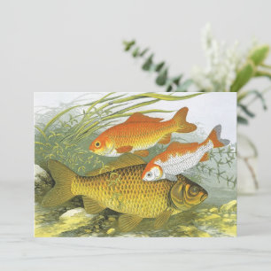 Goldfish Koi Fish, Vintage Marine Aquatic Sea Life Invitation