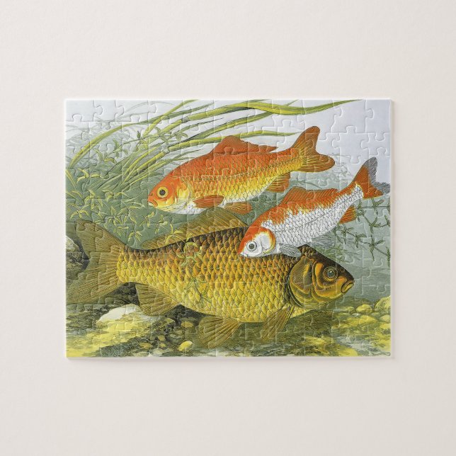 Goldfish Koi Fish, Vintage Marine Aquatic Sea Life Jigsaw Puzzle (Horizontal)