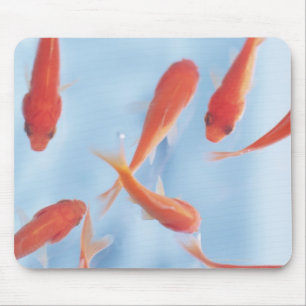 Goldfish Mouse Pad