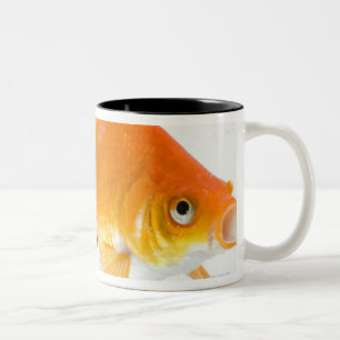 Goldfish on white background Two-Tone coffee mug