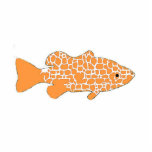 Goldfish Photo Sculpture Decoration<br><div class="desc">An acrylic goldfish ornament</div>